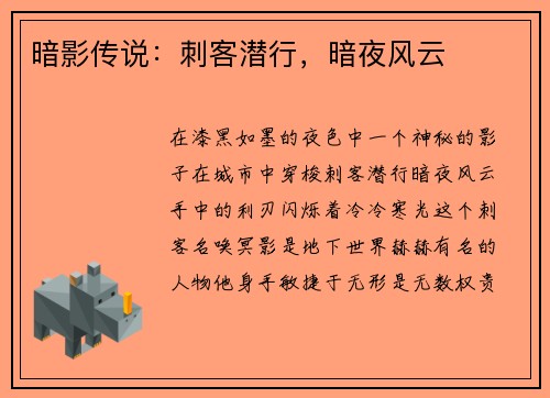 暗影传说：刺客潜行，暗夜风云