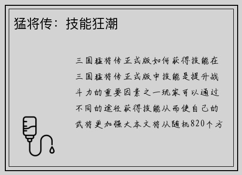 猛将传：技能狂潮